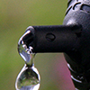 Picture of .5 GPH PC Dripper-(QTY 4 ea) 
