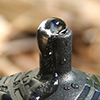 Picture of 1 GPH PC DRIPPER-(QTY 15)