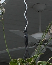Picture of 100' White 1/4" Vinyl 