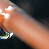 Picture of 100' 1/4" In-Line Drip-12 in Spacing