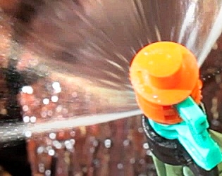 Picture of Micro Spray Kit 50-ft 