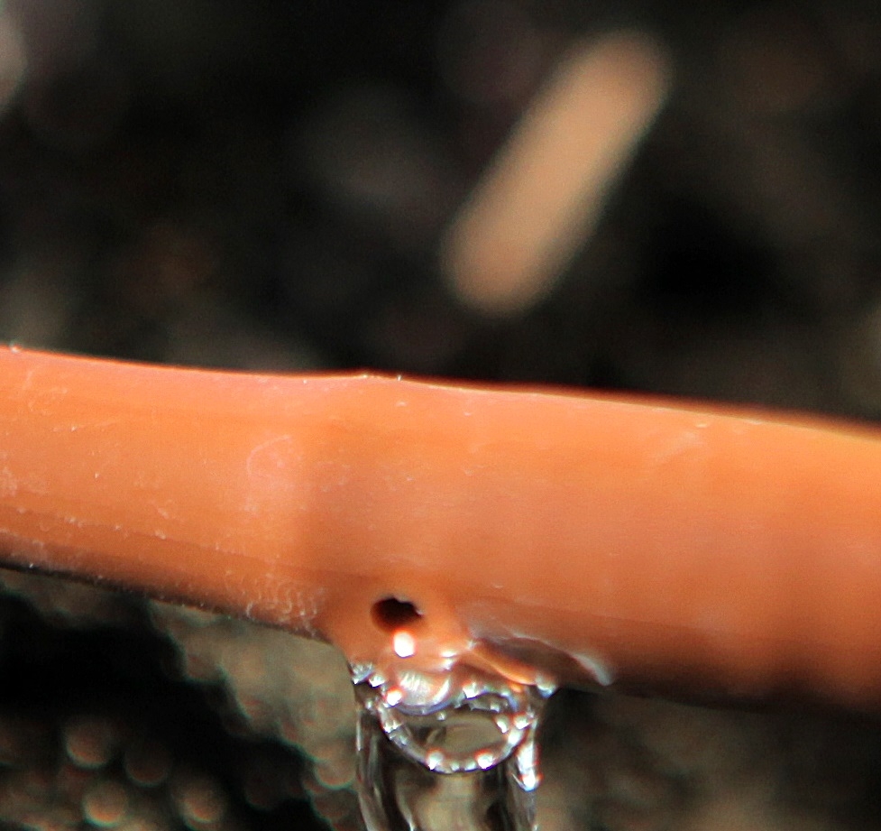 Picture of Vegetable Garden Drip Kit-12 in Spacing