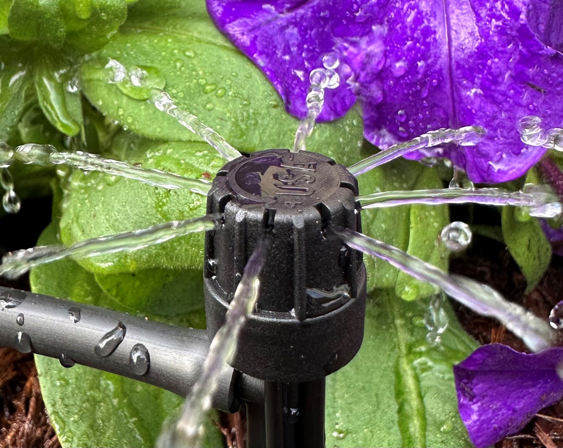 Picture of Adjustable Drip/Spray Stakes (QTY 3) 