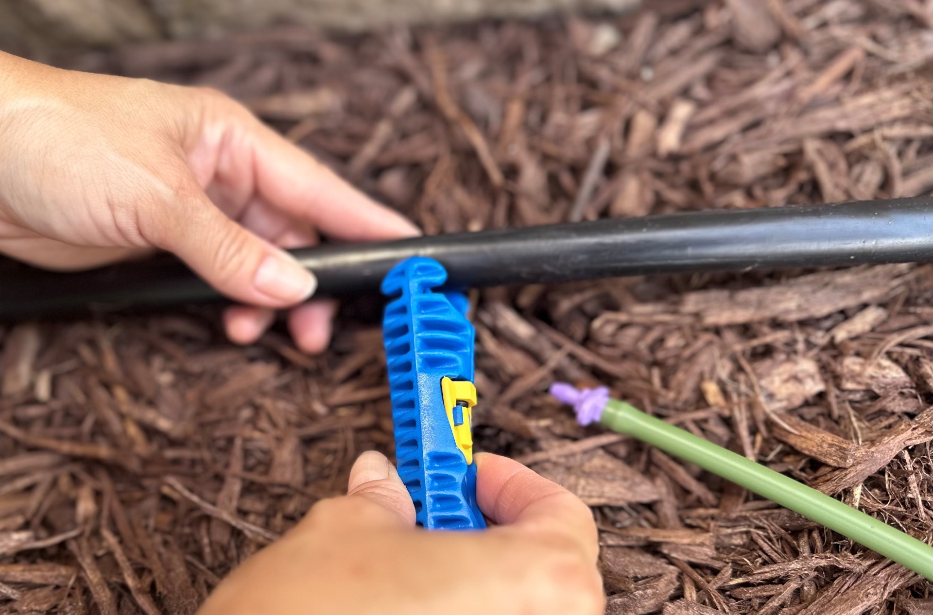 Picture of VIOLET FLOW RESTRICTOR-(Qty 10)