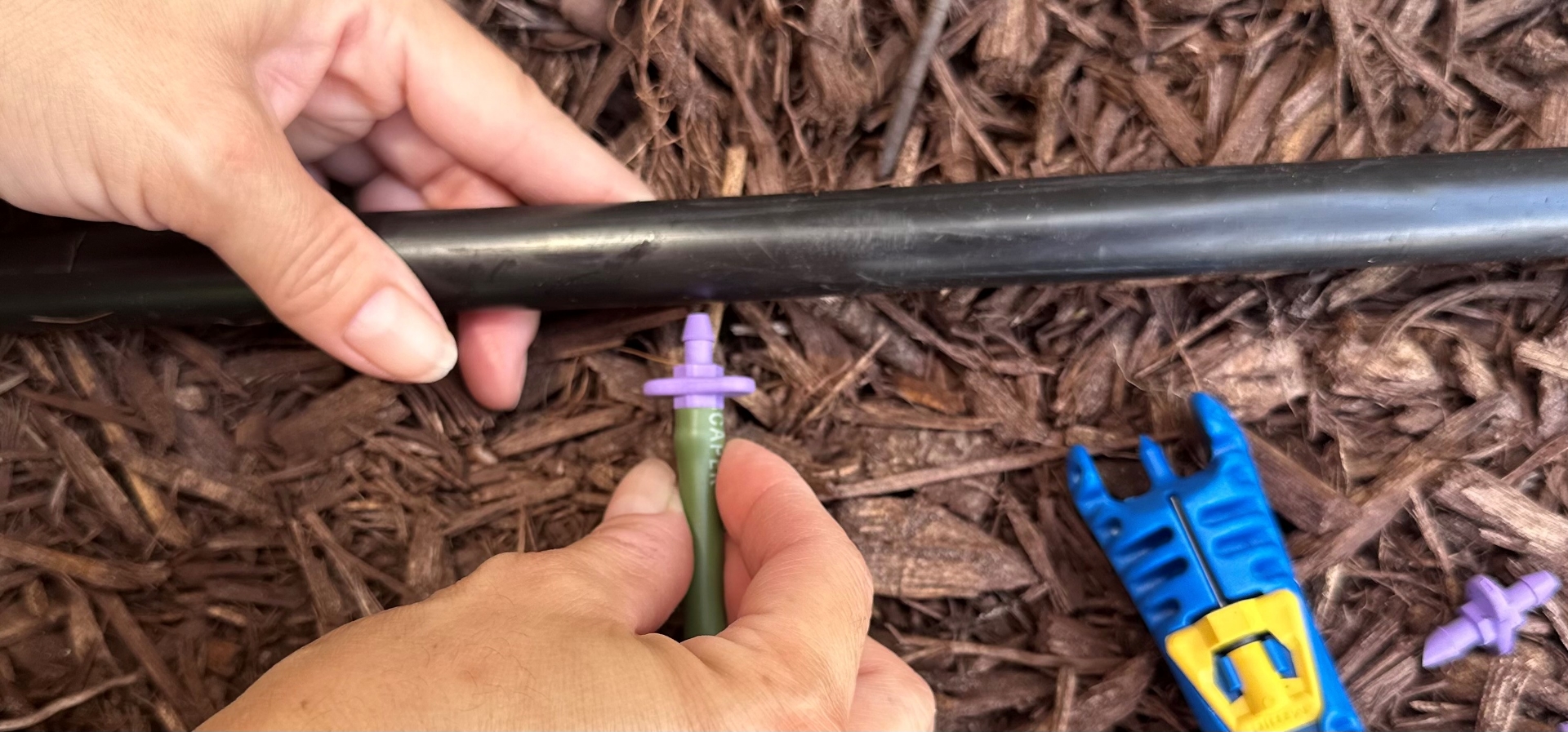 Picture of VIOLET FLOW RESTRICTOR-(Qty 10)