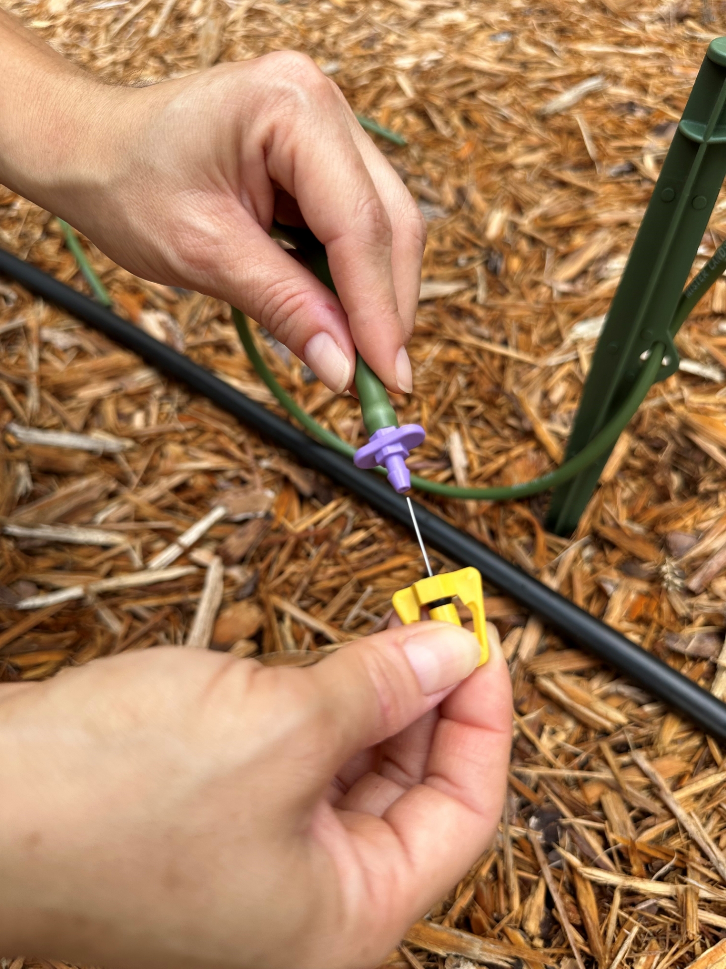 Picture of VIOLET FLOW RESTRICTOR-(Qty 10)