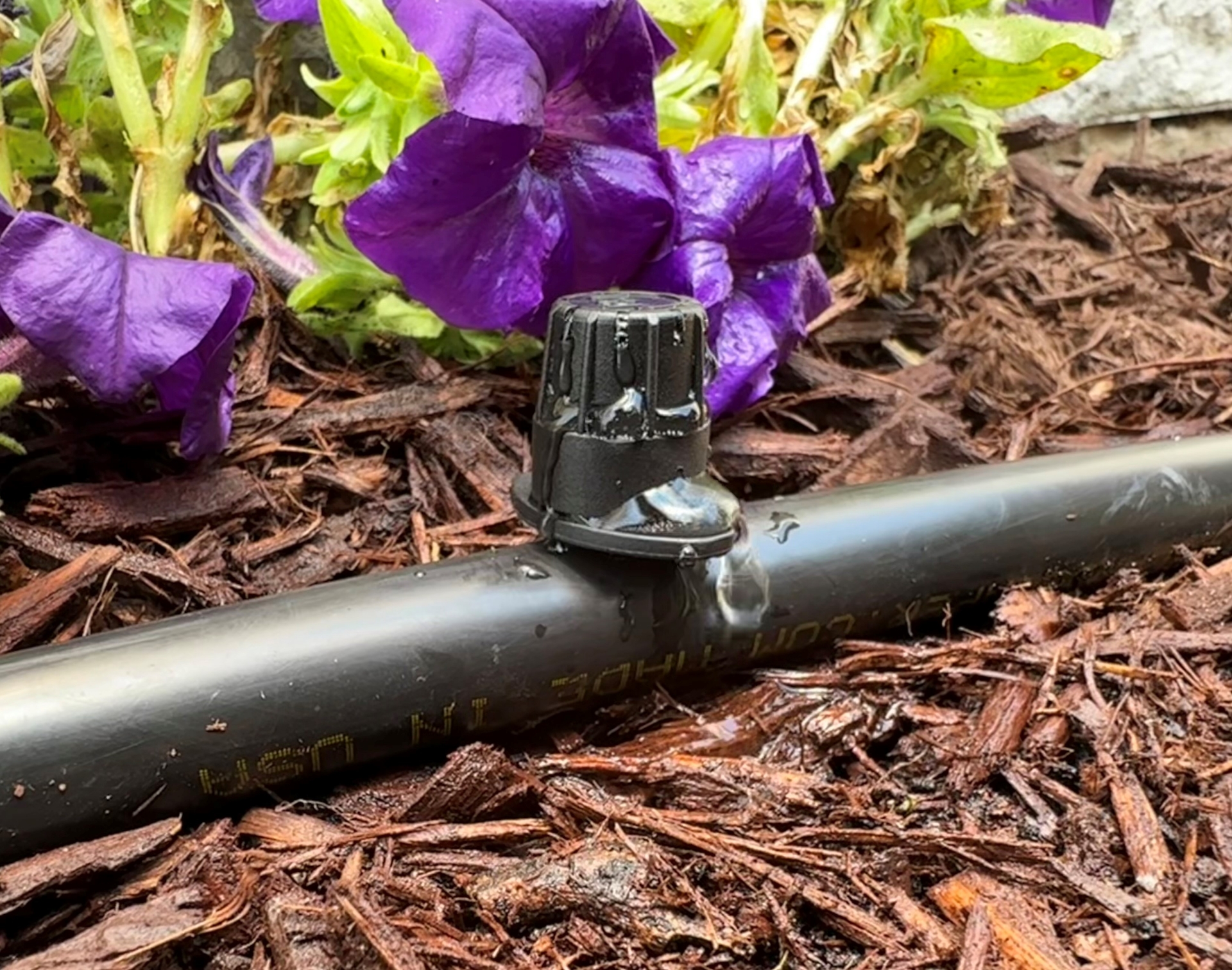 Picture of Adjustable Drip/Spray (QTY 5)