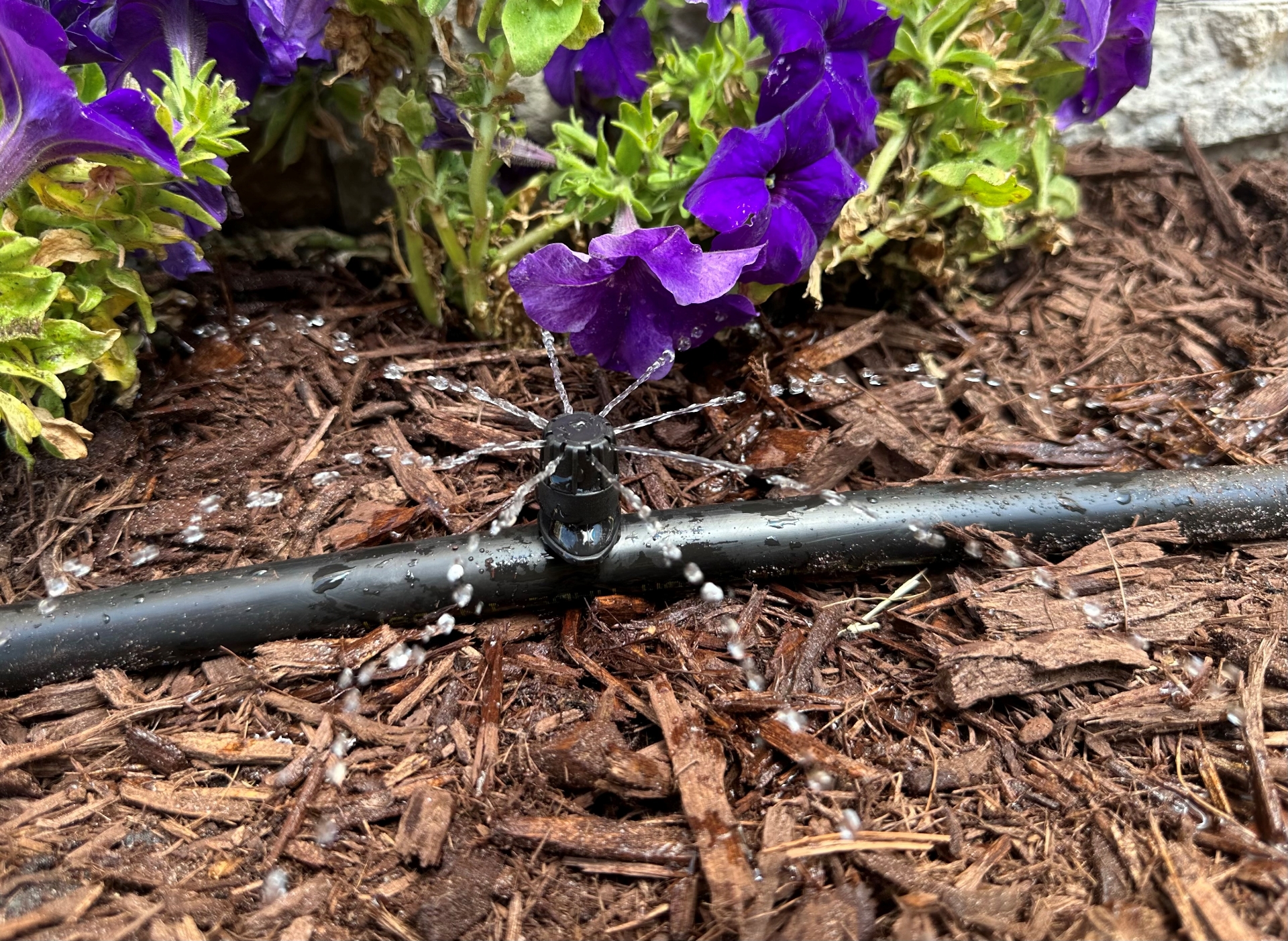 Picture of Adjust Drip/Spray (QTY 100)
