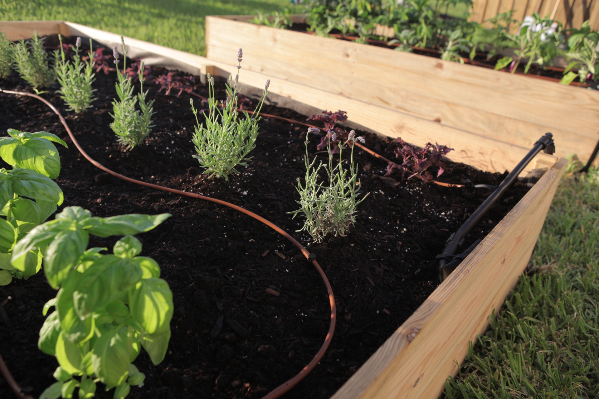 Picture of Vegetable Garden Drip Kit-12 in Spacing