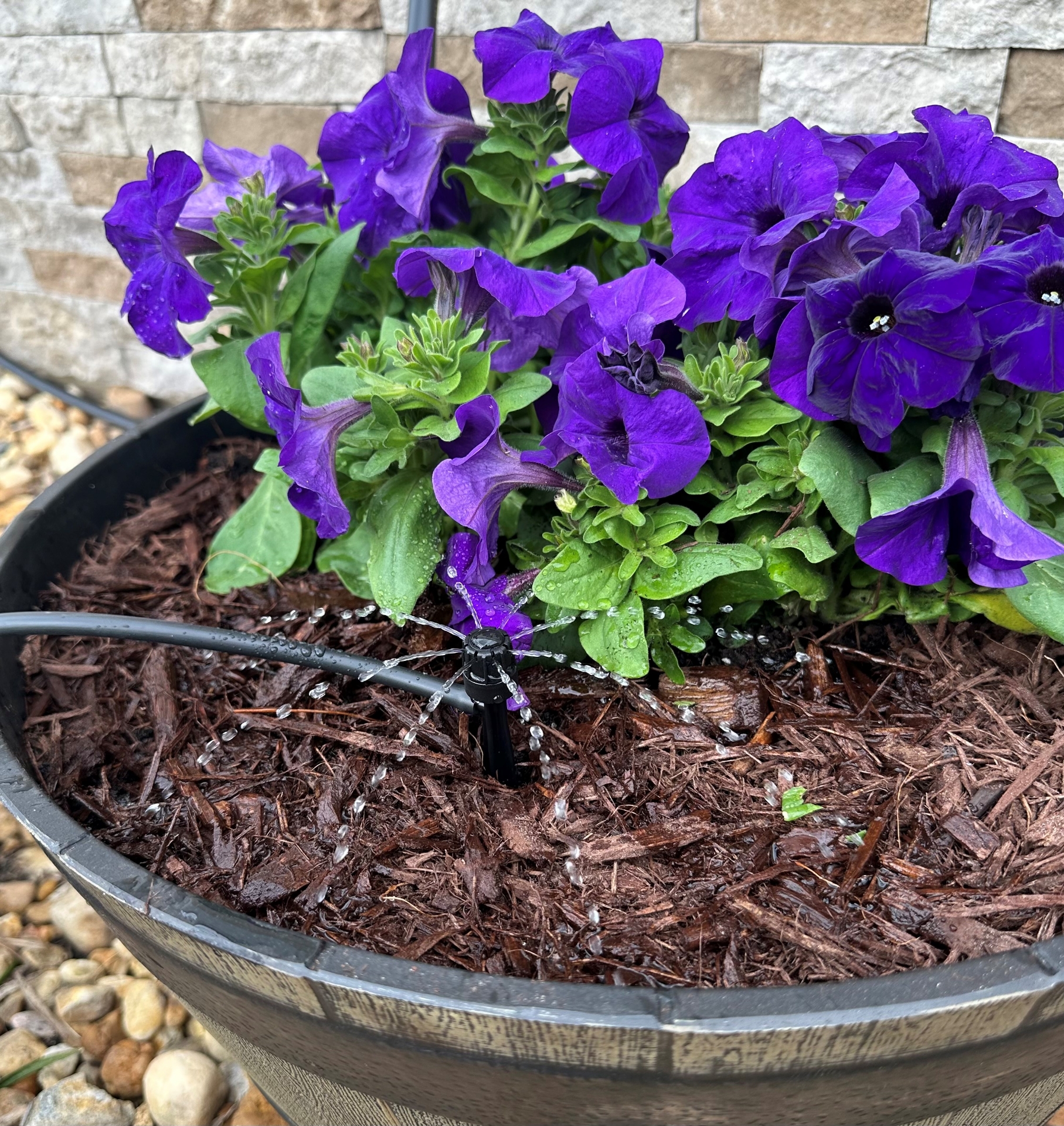 Picture of Patio & Potted Plant Drip Kit w/8 ADJ Drip/Spray Stakes