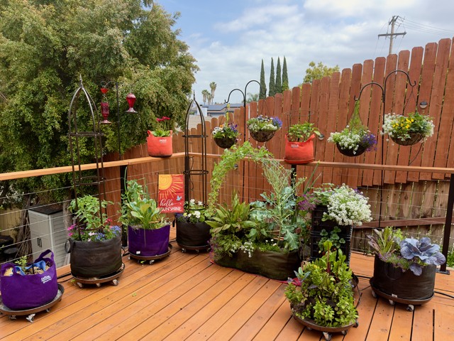 Picture of Patio & Potted Plant Drip Kit w/30 ADJ Drip/Spray Stakes