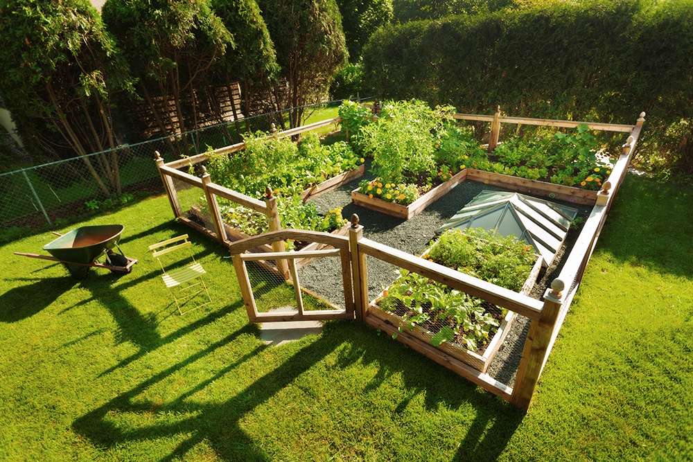 Picture of Vegetable Garden Drip Kit-6 in Spacing